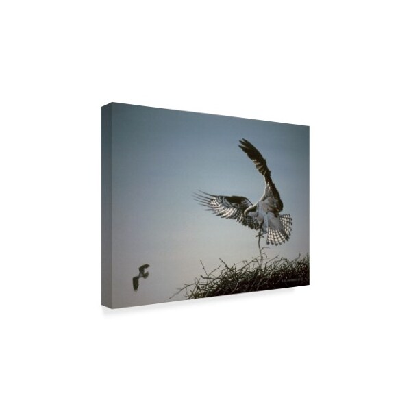 Ron Parker 'Nest Builder' Canvas Art,14x19